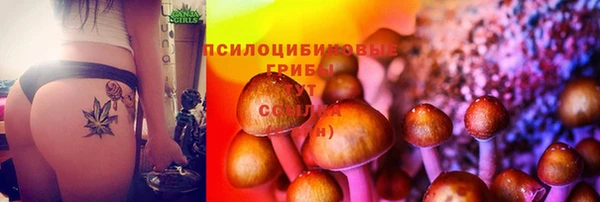 прущие грибы Белоозёрский