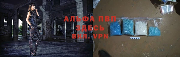 прущие грибы Белоозёрский