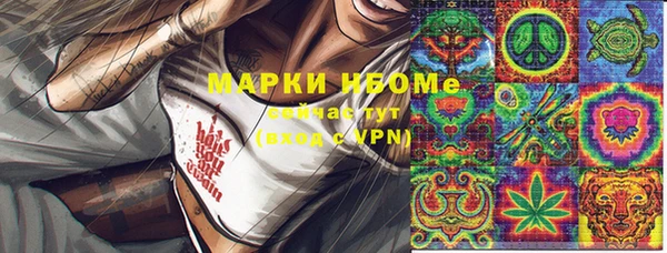 прущие грибы Белоозёрский