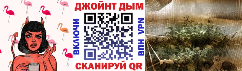 Купить где  Бутурлиновка  Конопля OG Kush 